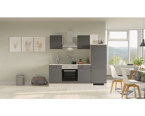 Küchenzeile mit Geräten Flex Well Tiago 220 cm Frontfarbe basaltgrau - Korpusfarbe san remo eiche hell 00012239
