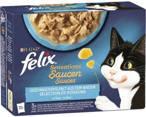 FELIX Katzenfutter nass Sensations Saucen Wasser Multipack 12x85 g