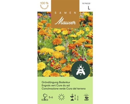 Samen Mauser Gründünung Bodenkur 50 g