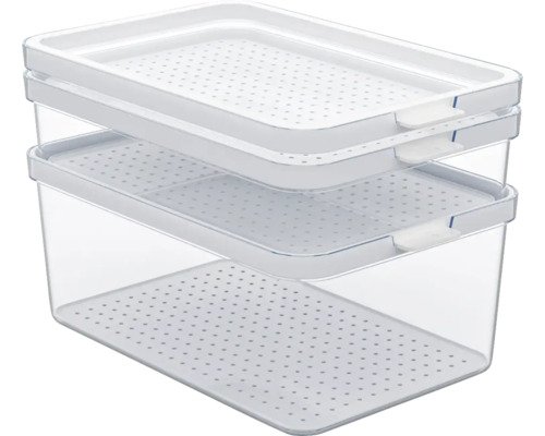 Rotho CAUMA Set Kühlschrankorganizer 3-teilig transparent