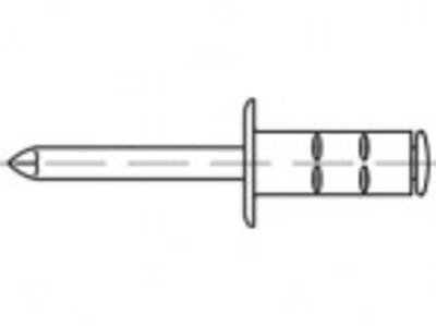TOOLCRAFT TO-5380551 Blindniete 4.8 mm Edelstahl 500 St.
