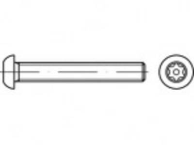TOOLCRAFT TO-5380248 Sicherheitsschrauben M8 50 mm Innensechsrund 88116 Edelstahl A2 100 St.