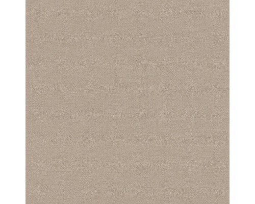 Vliestapete 448566 Kalahari & Salsa Uni braun