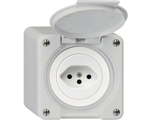 Steckdose Robusto NAP T13 lichtgrau