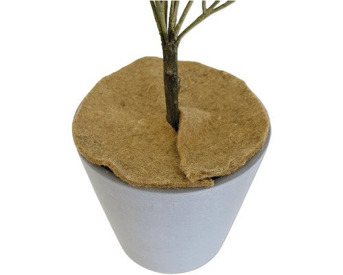 Jute Mulchmatte ø 40 cm
