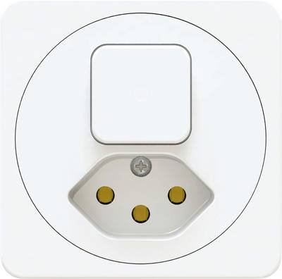 Max Hauri 170606 Schalter/Steckdosen Kombination IP20 Weiß (glänzend)