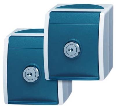 ABB 2CKA002083A0816 Schutzkontakt-Steckdose IP44 Lichtgrau (RAL 7035), Blau-Grün