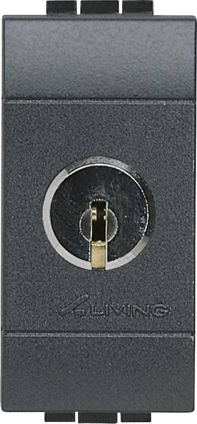 Legrand Installationsschalter Living&Light Anthrazit L4012C 1 St.