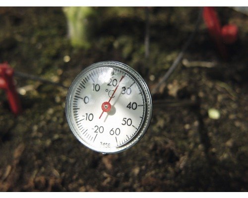 Erdthermometer Vitavia