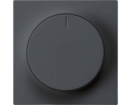 Frontplatte Drehdimmer anthrazit