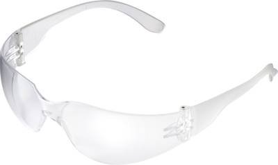 TOOLCRAFT TO-5291646 Besucherbrille Transparent, Klar EN 166 DIN 166