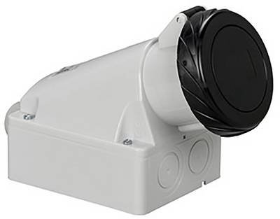Schneider Electric 83174 CEE Wandsteckdose 1 St.