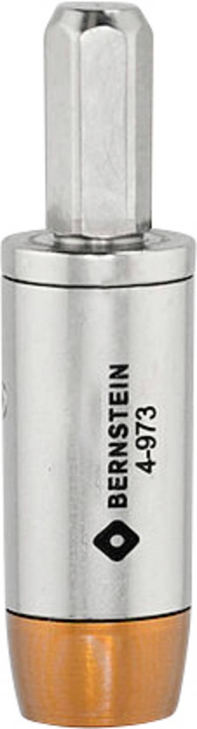 Bernstein Tools for Electronics Bernstein Werkzeugfabrik 4-973 Drehmomentadapter Sechskant 0.3 Nm (max)