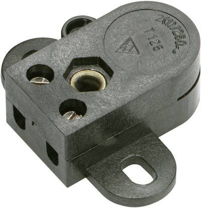 interBär Seilzugschalter Schwarz 1 x Aus/Ein 2 A 1 St.