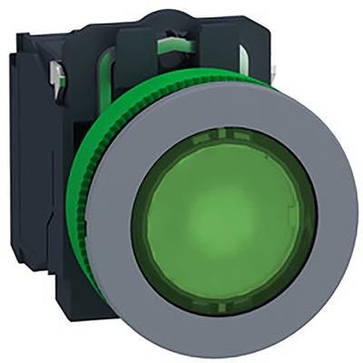 Schneider Electric XB5FW33G5C0 Leuchttaster 1 St.