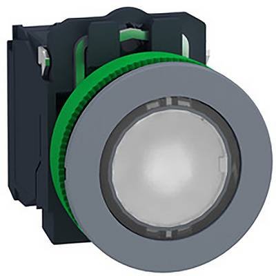 Schneider Electric XB5FW31M5C0 Leuchttaster 1 St.