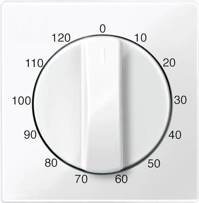 Merten Abdeckung System M Polarweiß 567519 1 St.