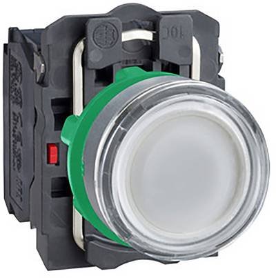 Schneider Electric XB5AW31M5C0 Leuchttaster 1 St.