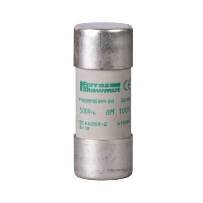 Schneider Electric DF2FA40 Sicherung 10 St.