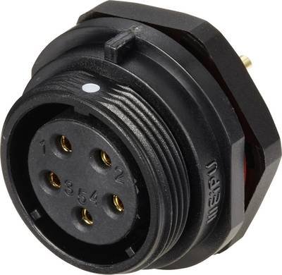 Weipu SP2112 / S 5C Rundstecker Buchse, Einbau Gesamtpolzahl: 5 Serie (Rundsteckverbinder): SP21 1 St.