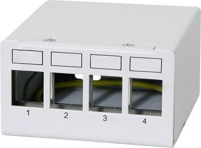 LogiLink NK4090 Patch-Panel CAT 6a Lichtgrau (RAL 7035)