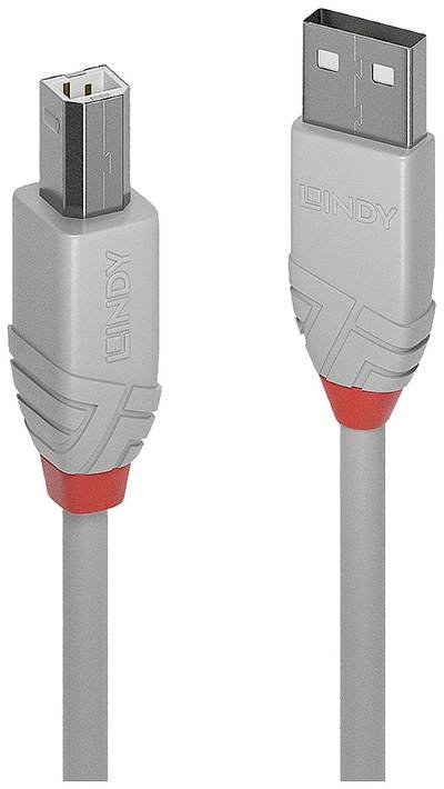 LINDY USB-Kabel USB 2.0 USB-A Stecker, USB-B Stecker 5.00 m Grau 36685