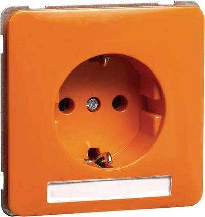 PEHA by Honeywell 1fach Einsatz Steckdose Orange 567421 1 St.
