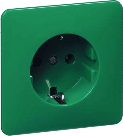 PEHA by Honeywell 1fach Komplett Steckdose Grün 567121 1 St.