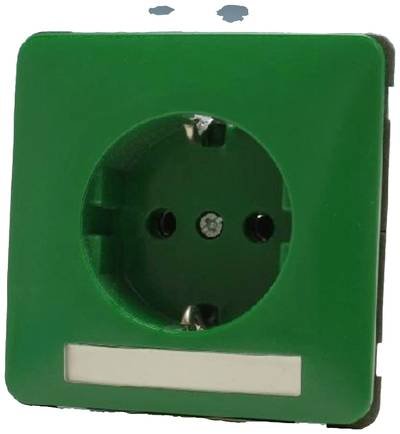 PEHA by Honeywell 1fach Komplett Steckdose Grün 567921 1 St.