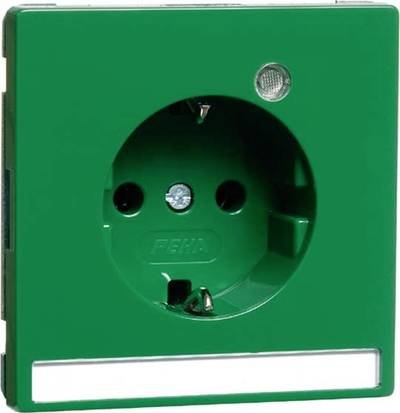 PEHA by Honeywell 1fach Einsatz Steckdose Grün 886921 1 St.