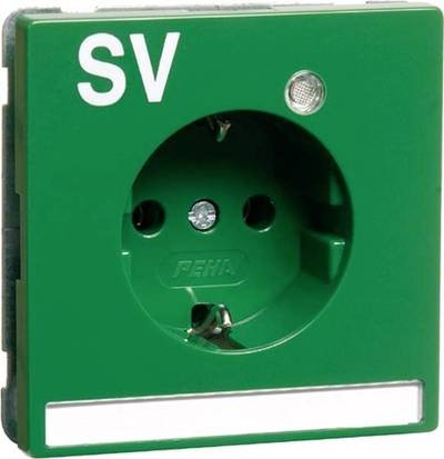 PEHA by Honeywell 1fach Einsatz Steckdose Grün 884911 1 St.