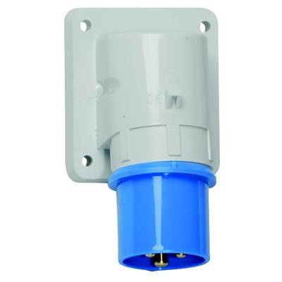 Bals Elektrotechnik 261 261 CEE Anbaustecker 16.0 A 3polig 230 V 1 St.