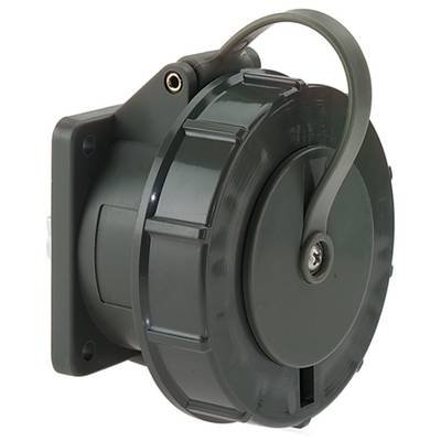 Bals Elektrotechnik 13184 13184 CEE Anbaudose 32.0 A 5polig 1 St.
