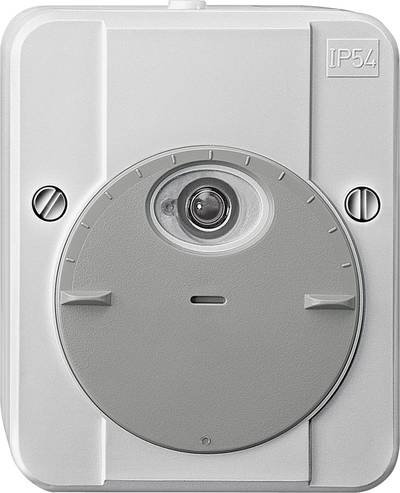 Schneider Electric 544829 Dämmerungsschalter Lichtgrau 230 V 1 Schließer