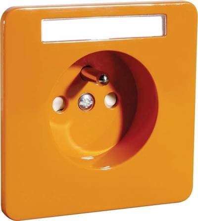PEHA by Honeywell Komplett Steckdose Orange 411241 1 St.