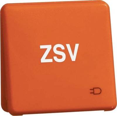PEHA by Honeywell 1fach Komplett Steckdose Orange 806011 1 St.