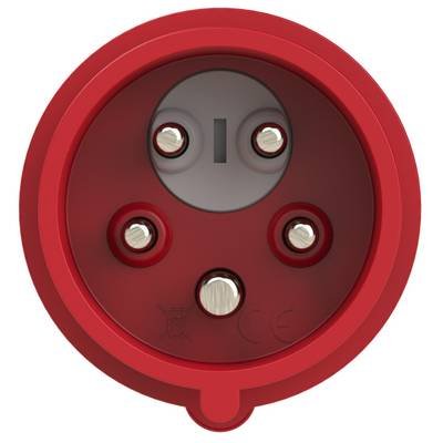 PCE 5571501000 CEE Motorschutzstecker 16 A 5polig 400 V 1 St.
