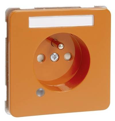 PEHA by Honeywell Einsatz Steckdose Orange 482441 1 St.