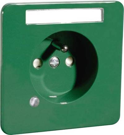 PEHA by Honeywell Komplett Steckdose Grün 482541 1 St.