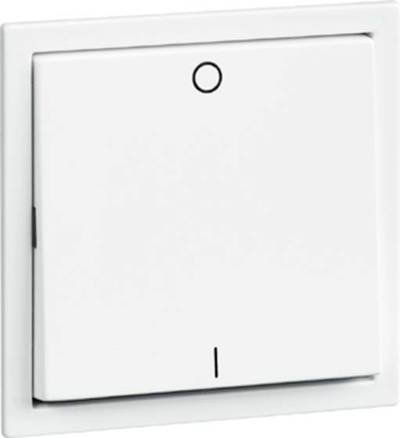 PEHA by Honeywell Abdeckung Wippe Aluminium 107211 1 St.