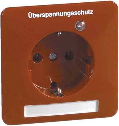 PEHA by Honeywell 1fach Komplett Steckdose Weiß 231713 1 St.