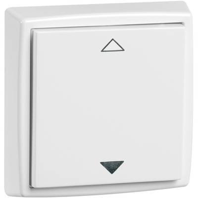 PEHA by Honeywell Komplett Wandsender Weiß 343856 1 St.