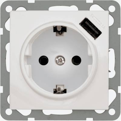 PEHA by Honeywell Einsatz USB-Steckdose Aluminium 318201 1 St.